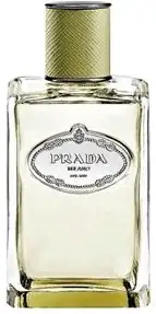 Prada Vétiver
