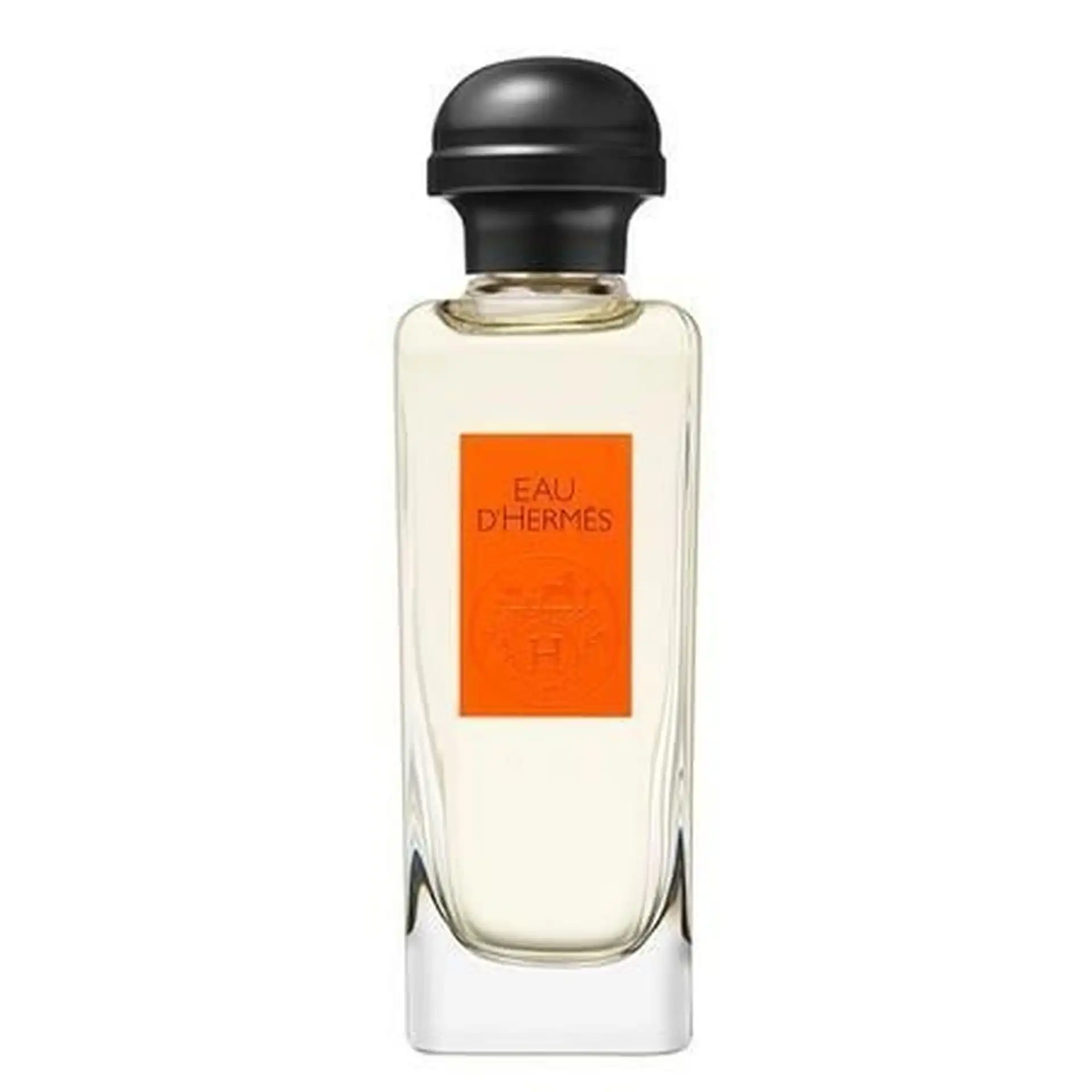 Vaporisateur 100 ml