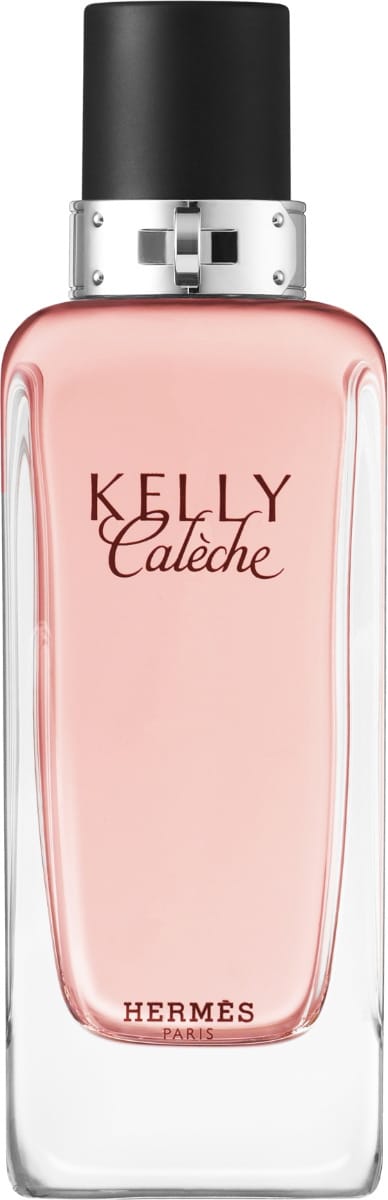 HERMÈS Kelly Calèche