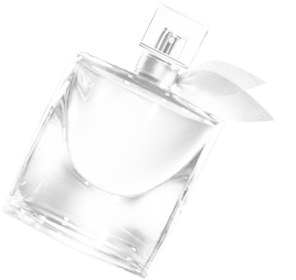 parfum pour homme gemeaux